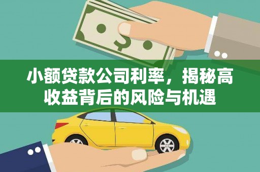 燕郊小额贷款公司利率，揭秘高收益背后的风险与机遇