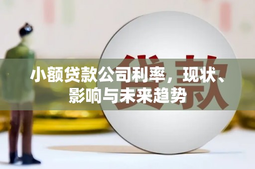 燕郊小额贷款公司利率，现状、影响与未来趋势