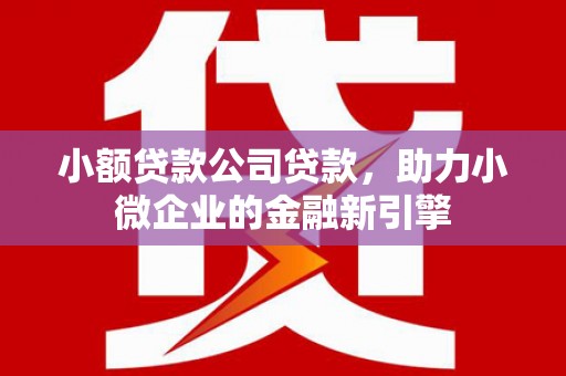 燕郊小额贷款公司贷款，助力小微企业的金融新引擎