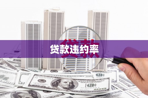 燕郊贷款违约率
