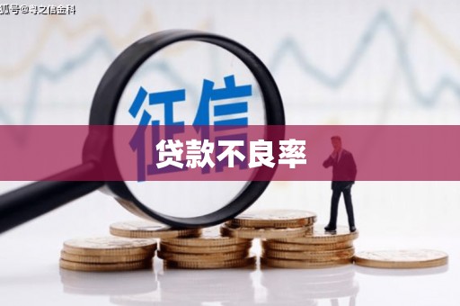 燕郊贷款不良率