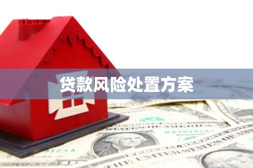 燕郊贷款风险处置方案