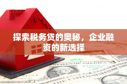 燕郊探索税务贷的奥秘，企业融资的新选择