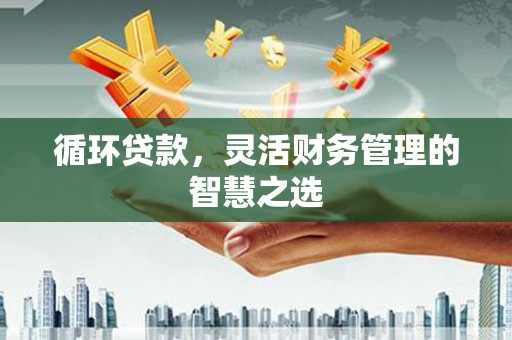 燕郊循环贷款，灵活财务管理的智慧之选