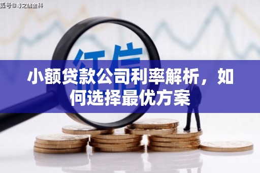 燕郊小额贷款公司利率解析，如何选择最优方案