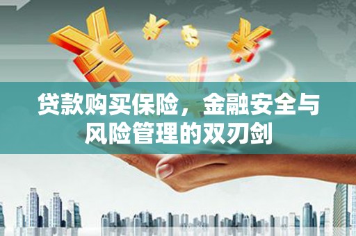 燕郊贷款购买保险，金融安全与风险管理的双刃剑