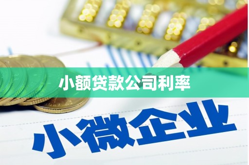 燕郊小额贷款公司利率
