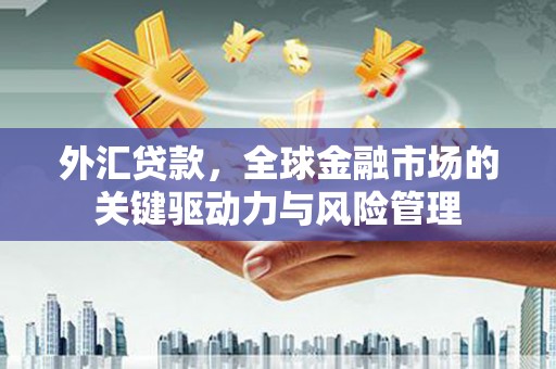 燕郊外汇贷款，全球金融市场的关键驱动力与风险管理