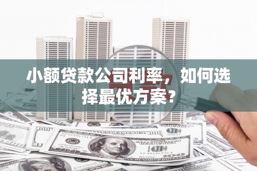 燕郊小额贷款公司利率，如何选择最优方案？