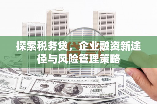 燕郊探索税务贷，企业融资新途径与风险管理策略