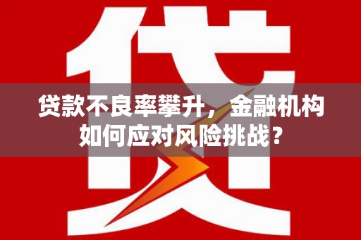 燕郊贷款不良率攀升，金融机构如何应对风险挑战？