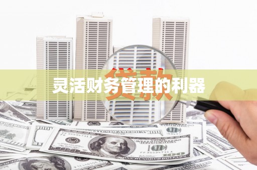 燕郊灵活财务管理的利器