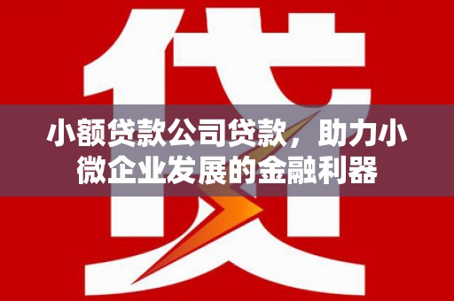 燕郊小额贷款公司贷款，助力小微企业发展的金融利器