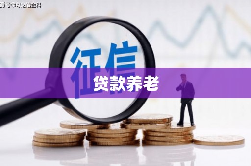 燕郊贷款养老