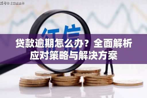 燕郊贷款逾期怎么办？全面解析应对策略与解决方案