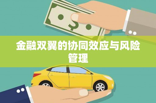 燕郊金融双翼的协同效应与风险管理