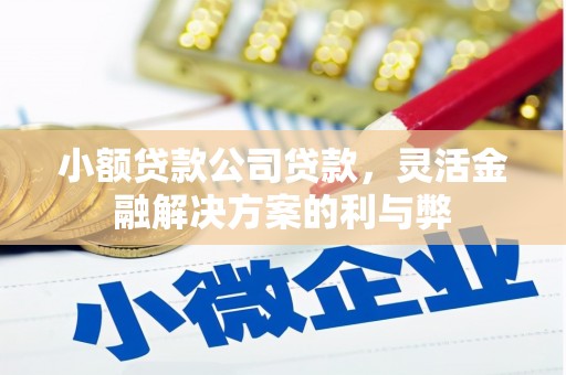 燕郊小额贷款公司贷款，灵活金融解决方案的利与弊