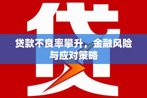 燕郊贷款不良率攀升，金融风险与应对策略